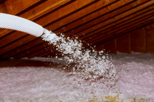 Best Insulation Maintenance and Repair in Johnson City, TX