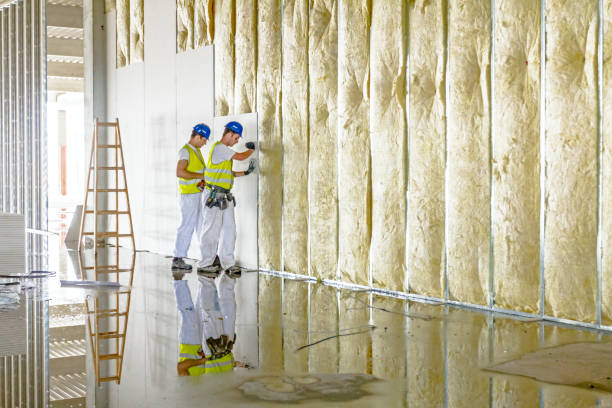 Best Cellulose Insulation in Johnson City, TX